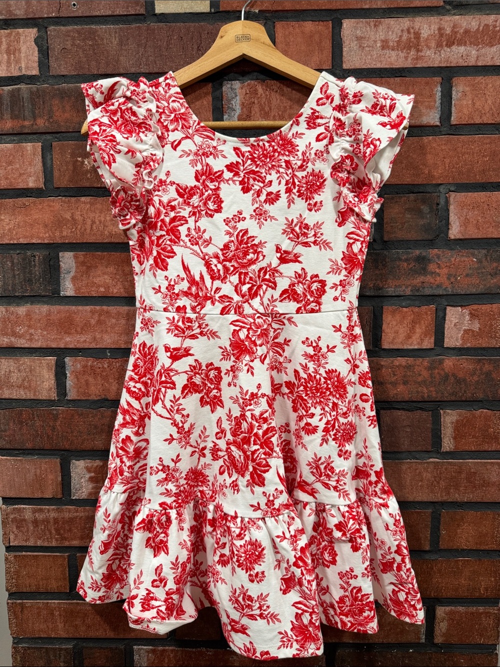Janie and Jack White Dress with Red Floral Print and Ruffled Sleeves